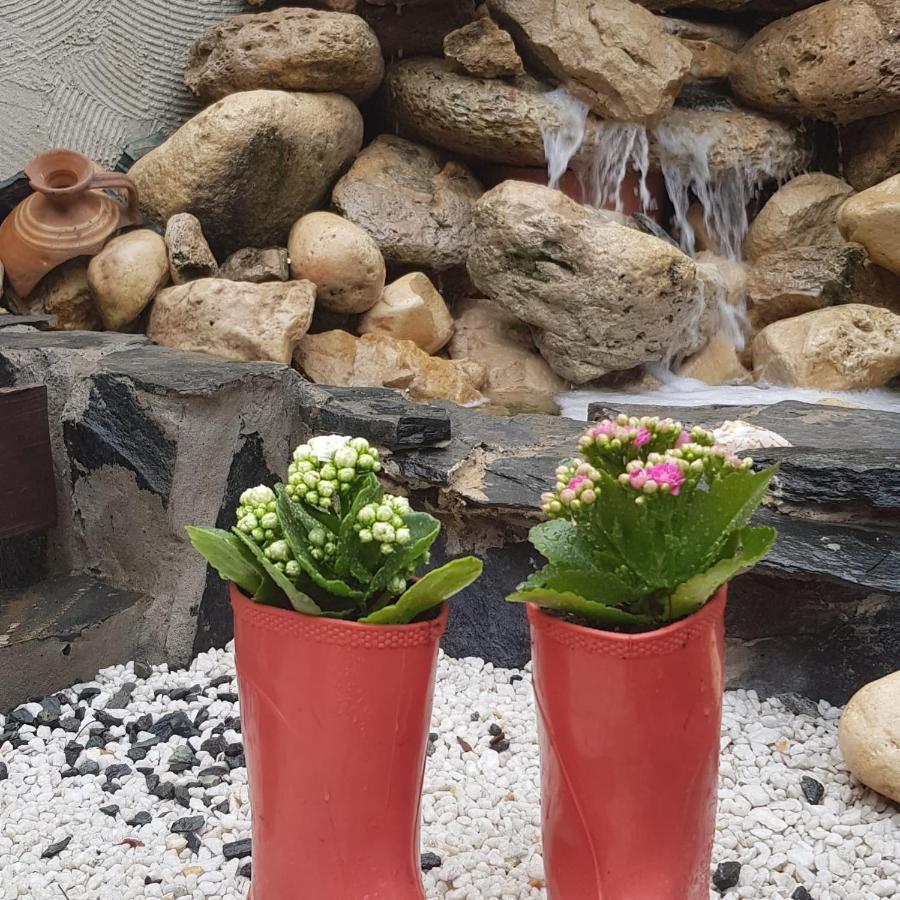 Vila Raelma Eforie Bagian luar foto